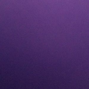 Meet your Posher, Layla